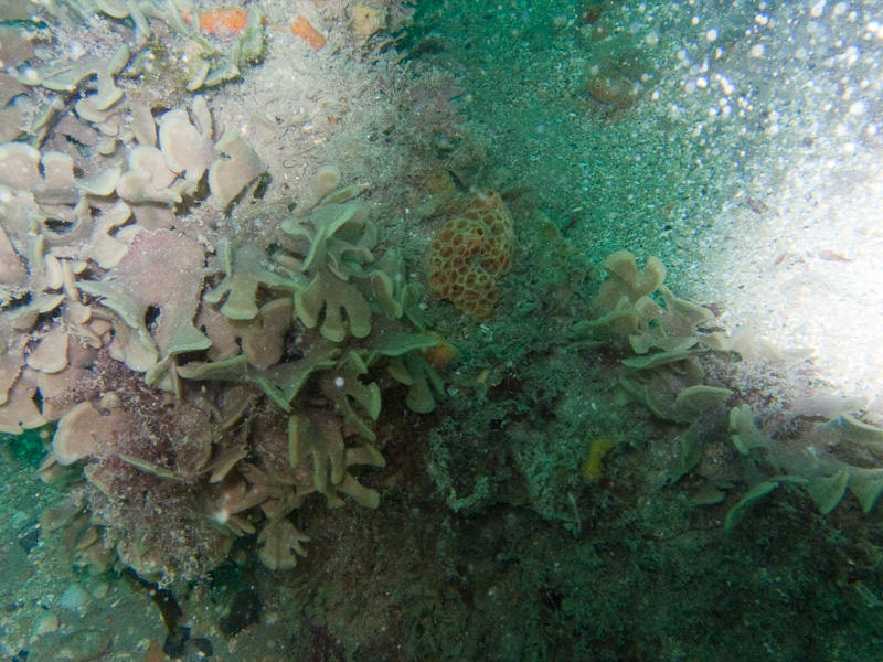 65 / 120